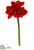 Amaryllis Spray - Red - Pack of 12