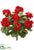 Water-Resistant Geranium Bush - Red - Pack of 6