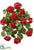 Water-Resistant Geranium Bush - Red - Pack of 6