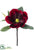 Magnolia Pick - Red - Pack of 12