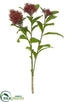 Silk Plants Direct Skimmia Spray - Red - Pack of 12