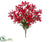 Rain Lily Bush - Red - Pack of 12