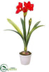 Silk Plants Direct Amaryllis Plant - Red - Pack of 1