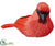 Sisal Cardinal - Red - Pack of 6