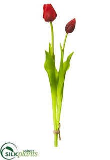 Tulip Bundle - Red - Pack of 12