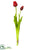 Tulip Bundle - Red - Pack of 12
