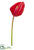 Anthurium Spray Spray - Beauty - Pack of 12