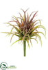 Silk Plants Direct Tillandsia Pick - Green Red - Pack of 12