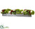 Silk Plants Direct Rose, Ranunculus, Sedum Arrangement - Green Red - Pack of 1