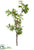 Holly Berry Branch - Green Red - Pack of 4