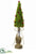 Christmas Tree - Green Red - Pack of 6