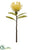 Protea Spray - Yellow - Pack of 24