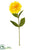 Zinnia Spray - Yellow - Pack of 12