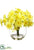 Silk Plants Direct Daffodil - Yellow - Pack of 6