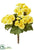 Begonia Bush - Yellow - Pack of 12