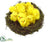 Bird's Nest - Yellow - Pack of 6