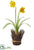 Silk Plants Direct Daffodil - Yellow - Pack of 6