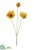 Poppy Spray - Yellow - Pack of 12