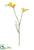 Silk Plants Direct Freesia Spray - Yellow - Pack of 12