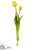 Tulip Bundle - Yellow - Pack of 12