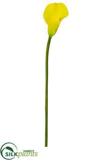 Calla Lily Spray - Yellow - Pack of 12
