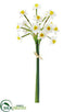 Silk Plants Direct Narcissus Bundle - White Yellow - Pack of 12