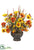 Poppy, Mum - Flame Yellow - Pack of 1