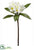 Plumeria Spray - Cream Yellow - Pack of 12