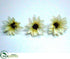 Silk Plants Direct Mini Dasiy Head - Cream Yellow - Pack of 3456
