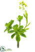 Silk Plants Direct Soft Plastic Flowering Echeveria Pick - Green Yellow - Pack of 6