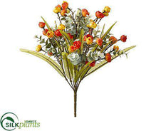 Mini Ranunculus, Eucalyptus Bush - Orange Two Tone - Pack of 12