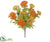Queen Anne's Lace Bush - Orange Yellow - Pack of 12