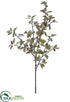 Silk Plants Direct Hoya Leaf Spray - Olive Green - Pack of 6