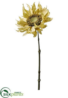 Sunflower Spray - Sage - Pack of 24