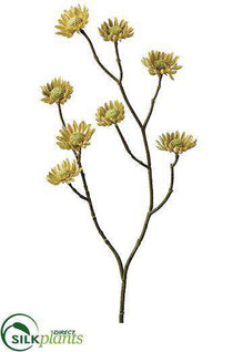 Mini Daisy Spray - Sage - Pack of 24
