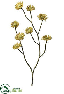 Mini Daisy Spray - Sage - Pack of 24