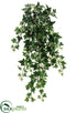 Silk Plants Direct Medium Variegated Holland Ivy Hanging Bush - Variegated - Pack of 6
