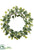 Ivy Wreath Varigated - Variegated - Pack of 3