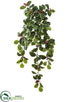 Silk Plants Direct Holly Hanging Bush - Green Variegated - Pack of 6