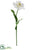 Silk Plants Direct Tulip Spray - White - Pack of 12