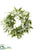 Sweetpea, Eucalyptus Wreath - White - Pack of 1