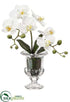 Silk Plants Direct Phalaenopsis Orchid - White - Pack of 6