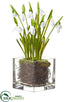 Silk Plants Direct Snowdrop - White - Pack of 6