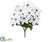 Mini Poinsettia Bush - White - Pack of 6