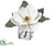 Velvet Magnolia, Pine - White - Pack of 4