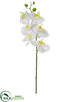 Silk Plants Direct Phalaenopsis Orchid Spray - White - Pack of 12