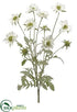 Silk Plants Direct Scabiosa Bush - White - Pack of 6