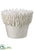 Silk Plants Direct Ceramic Vase - White - Pack of 2