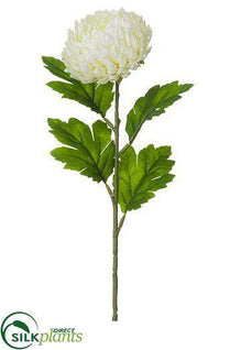 Mum Spray - White - Pack of 12