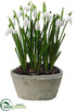 Silk Plants Direct Snowdrop - White - Pack of 4